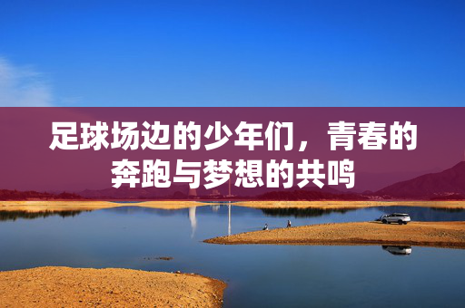 足球场边的少年们，青春的奔跑与梦想的共鸣