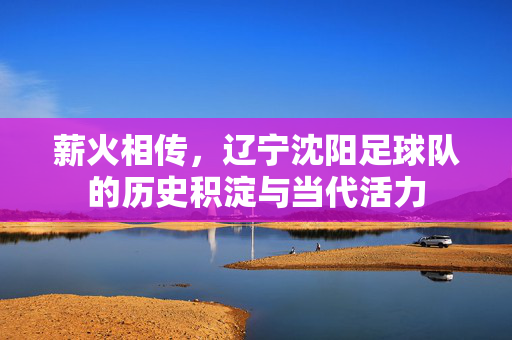 薪火相传，辽宁沈阳足球队的历史积淀与当代活力