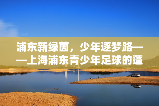 浦东新绿茵，少年逐梦路——上海浦东青少年足球的蓬勃发展与未来图景，浦东新绿茵，少年逐梦路——上海浦东青少年足球的蓬勃发展与未来图景
