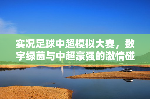 实况足球中超模拟大赛，数字绿茵与中超豪强的激情碰撞，球迷的虚拟狂欢