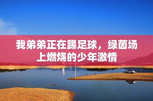 我弟弟正在踢足球，绿茵场上燃烧的少年激情