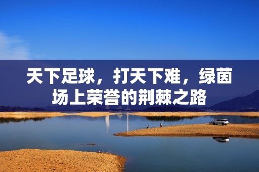 天下足球，打天下难，绿茵场上荣誉的荆棘之路