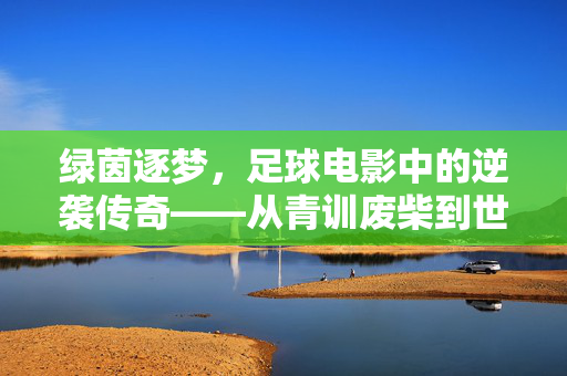 绿茵逐梦，足球电影中的逆袭传奇——从青训废柴到世界冠军的蜕变