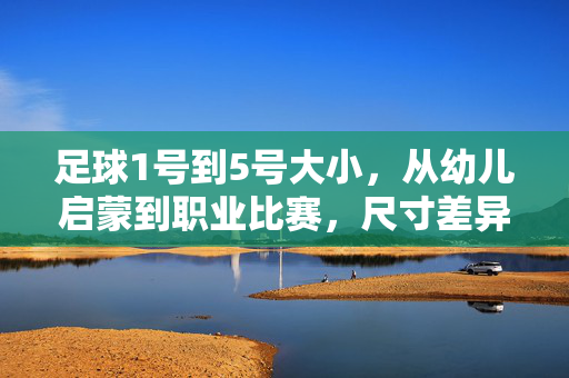 足球1号到5号大小，从幼儿启蒙到职业比赛，尺寸差异与适用场景全解析，足球1号到5号，从幼儿启蒙到职业比赛，尺寸差异与适用场景全解析