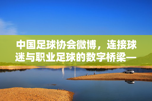 中国足球协会微博,连接球迷与职业足球的数字桥梁——其作用与价值解析