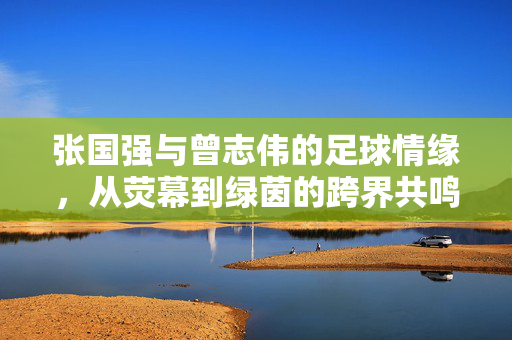 张国强与曾志伟的足球情缘，从荧幕到绿茵的跨界共鸣，张国强与曾志伟的足球情缘，从荧幕到绿茵的跨界共鸣