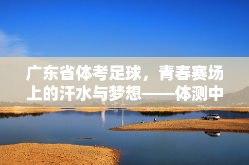 广东省体考足球，青春赛场上的汗水与梦想——体测中的足球魅力与成长印记