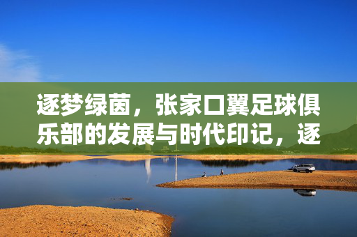 逐梦绿茵，张家口翼足球俱乐部的发展与时代印记，逐梦绿茵，张家口翼足球俱乐部的发展与时代印记
