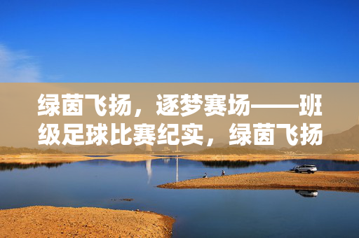 绿茵飞扬，逐梦赛场——班级足球比赛纪实，绿茵飞扬，逐梦赛场——班级足球比赛纪实