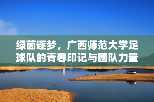 绿茵逐梦，广西师范大学足球队的青春印记与团队力量