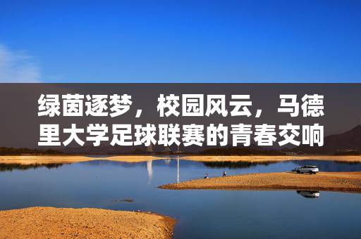 绿茵逐梦,校园风云,马德里大学足球联赛的青春交响曲