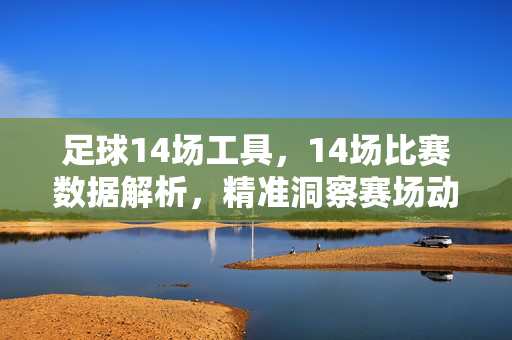 足球14场工具，14场比赛数据解析，精准洞察赛场动态，足球14场数据解析工具，精准洞察赛场动态