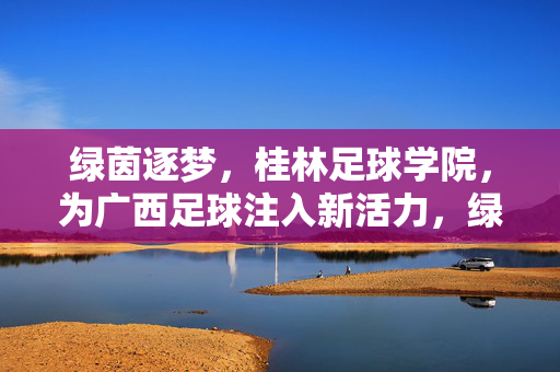绿茵逐梦，桂林足球学院，为广西足球注入新活力，绿茵逐梦，桂林足球学院为广西足球注入新活力