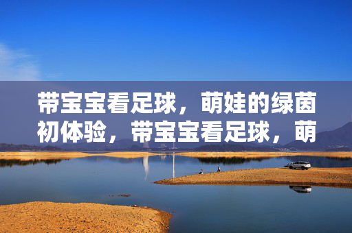 带宝宝看足球,萌娃的绿茵初体验,带宝宝看足球,萌娃的绿茵初体验