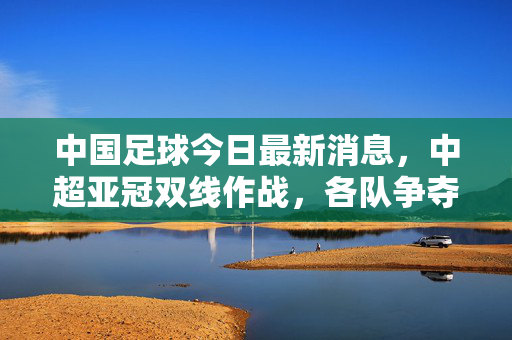 中国足球今日最新消息，中超亚冠双线作战，各队争夺关键积分，中国足球今日最新消息，中超亚冠双线作战，各队争夺关键积分