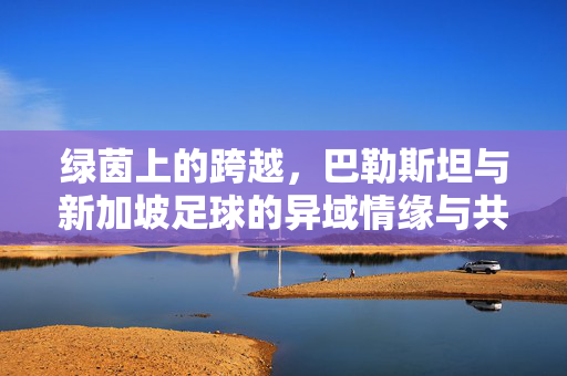 绿茵上的跨越，巴勒斯坦与新加坡足球的异域情缘与共同坚守，绿茵上的跨越，巴勒斯坦与新加坡足球的异域情缘与共同坚守