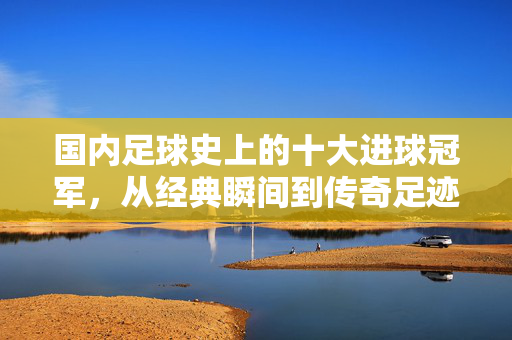 国内足球史上的十大进球冠军，从经典瞬间到传奇足迹——中超历史射手榜的辉煌篇章