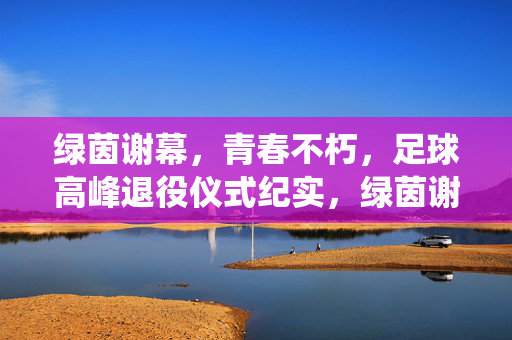 绿茵谢幕，青春不朽，足球高峰退役仪式纪实，绿茵谢幕，青春不朽，足球高峰退役仪式纪实