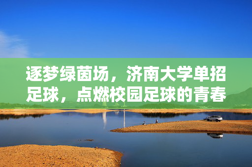 逐梦绿茵场，济南大学单招足球，点燃校园足球的青春火种，逐梦绿茵场，济南大学单招足球，点燃校园足球的青春火种