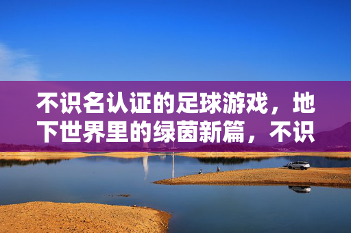 不识名认证的足球游戏，地下世界里的绿茵新篇，不识名认证的足球游戏，地下世界里的绿茵新篇