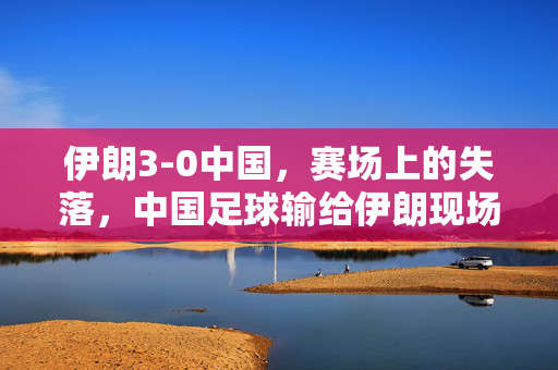 伊朗3-0中国，赛场上的失落，中国足球输给伊朗现场直击，伊朗3-0中国，中国足球输给伊朗的现场直击与赛场失落
