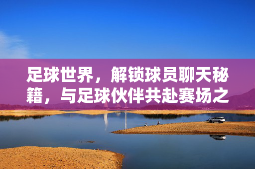 足球世界，解锁球员聊天秘籍，与足球伙伴共赴赛场之旅，足球世界，解锁球员聊天秘籍，与足球伙伴共赴赛场之旅