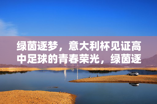 绿茵逐梦，意大利杯见证高中足球的青春荣光，绿茵逐梦，意大利杯见证高中足球的青春荣光