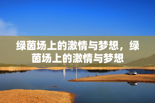 绿茵场上的激情与梦想，绿茵场上的激情与梦想