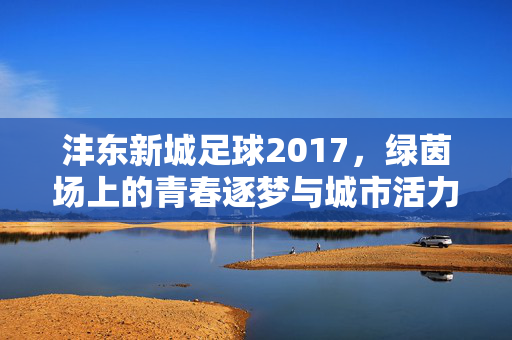 沣东新城足球2017，绿茵场上的青春逐梦与城市活力绽放，沣东新城足球2017，绿茵场上的青春逐梦与城市活力绽放