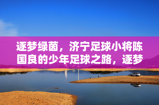 逐梦绿茵，济宁足球小将陈国良的少年足球之路，逐梦绿茵，济宁足球小将陈国良的少年足球之路