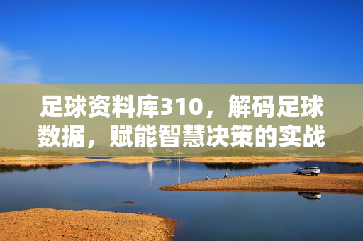 足球资料库310，解码足球数据，赋能智慧决策的实战宝典，足球资料库310，解码足球数据，赋能智慧决策的实战宝典