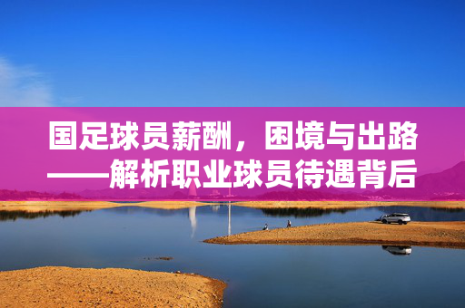 国足球员薪酬，困境与出路——解析职业球员待遇背后的职业生态与改革方向