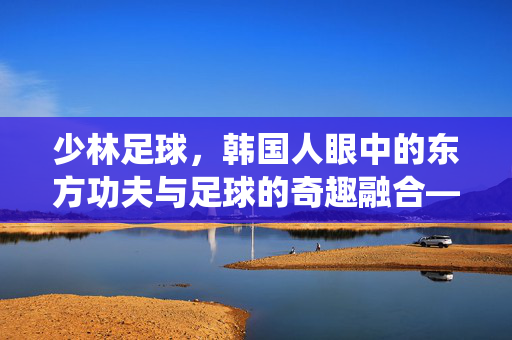 少林足球，韩国人眼中的东方功夫与足球的奇趣融合——传统武术如何为现代足球注入新活力，少林足球，韩国人眼中的东方功夫与足球的奇趣融合——传统武术如何为现代足球注入新活力