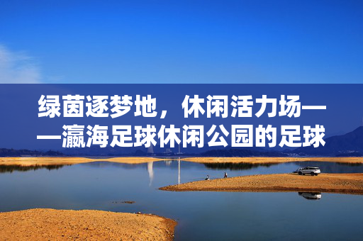 绿茵逐梦地，休闲活力场——瀛海足球休闲公园的足球与生活交响，绿茵逐梦地，休闲活力场——瀛海足球休闲公园的足球与生活交响