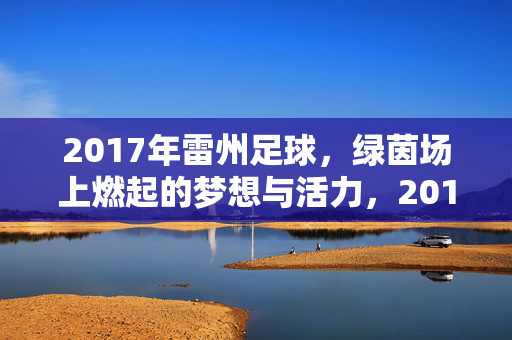 2017年雷州足球，绿茵场上燃起的梦想与活力，2017年雷州足球，绿茵场上燃起的梦想与活力