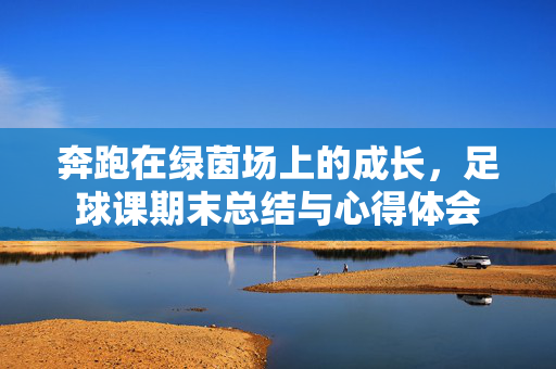 奔跑在绿茵场上的成长，足球课期末总结与心得体会