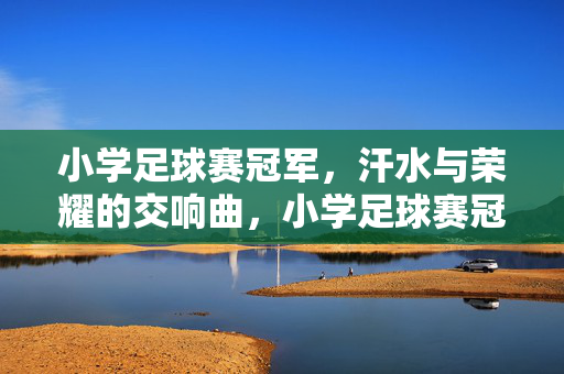 小学足球赛冠军，汗水与荣耀的交响曲，小学足球赛冠军，汗水与荣耀的交响曲