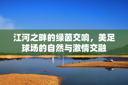 荷兰足球改名，从荷兰队到荷兰国家足球队——一场关乎身份认同的变革与思考，荷兰足球改名，从荷兰队到荷兰国家足球队——一场关乎身份认同的变革与思考