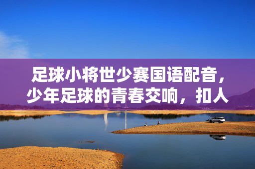 足球小将世少赛国语配音，少年足球的青春交响，扣人心弦的逐梦之旅