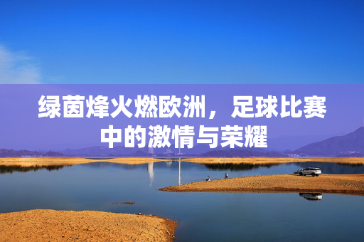 绿茵烽火燃欧洲，足球比赛中的激情与荣耀