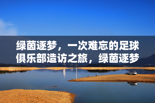 绿茵逐梦，一次难忘的足球俱乐部造访之旅，绿茵逐梦，一次难忘的足球俱乐部造访之旅