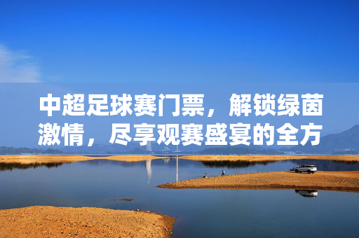 中超足球赛门票，解锁绿茵激情，尽享观赛盛宴的全方位指南