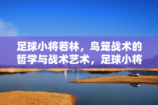 足球小将若林，鸟笼战术的哲学与战术艺术，足球小将若林，鸟笼战术的哲学与战术艺术