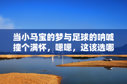 当小马宝的梦与足球的呐喊撞个满怀，嗯嗯，这该选哪个？当小马宝的梦与足球呐喊撞个满怀，该选哪个？