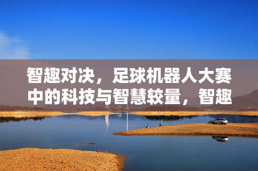 智趣对决，足球机器人大赛中的科技与智慧较量，智趣对决，足球机器人大赛中的科技与智慧较量