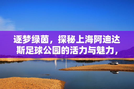逐梦绿茵，探秘上海阿迪达斯足球公园的活力与魅力，逐梦绿茵，探秘上海阿迪达斯足球公园的活力与魅力