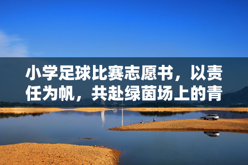小学足球比赛志愿书，以责任为帆，共赴绿茵场上的青春约定，小学足球比赛志愿书，以责任为帆，共赴绿茵场上的青春约定
