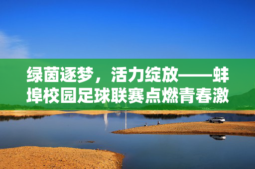 绿茵逐梦，活力绽放——蚌埠校园足球联赛点燃青春激情，绿茵逐梦，活力绽放——蚌埠校园足球联赛点燃青春激情