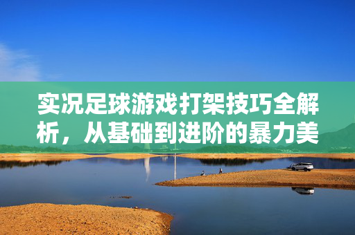实况足球游戏打架技巧全解析，从基础到进阶的暴力美学指南，实况足球游戏打架技巧全解析，从基础到进阶的暴力美学指南