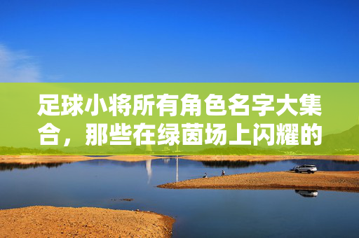 足球小将所有角色名字大集合，那些在绿茵场上闪耀的逐梦少年，足球小将所有角色名字大集合，那些在绿茵场上闪耀的逐梦少年